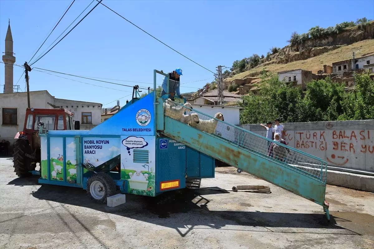 Kayseri'de Mobil Koyun Banyosu ile Kene Mücadelesi