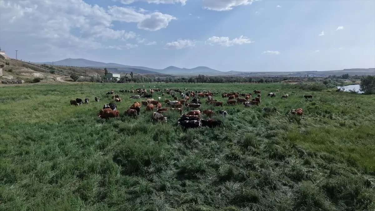 Kayseri'de Mera Islah Projesi ile 400 Dekar Alan Tarıma Kazandırıldı