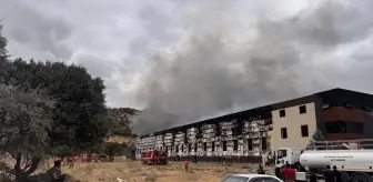 Kayseri'deki Mobilya Fabrikasında Yangın Çıktı