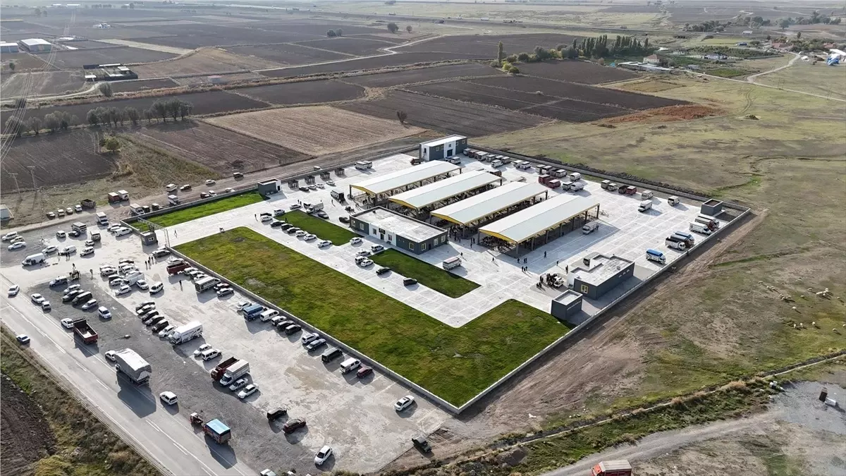 Kayseri'de Şap Hastalığına Karşı Aşılama Oranı Yüzde 70'e Ulaştı