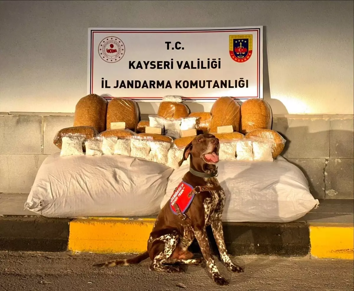 Kayseri'de Yolcu Otobüsünde 450 Kilogram Kaçak Tütün Ele Geçirildi