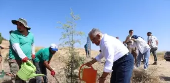 Büyükkılıç, Zabıta Haftası'nda Fidan Dikti