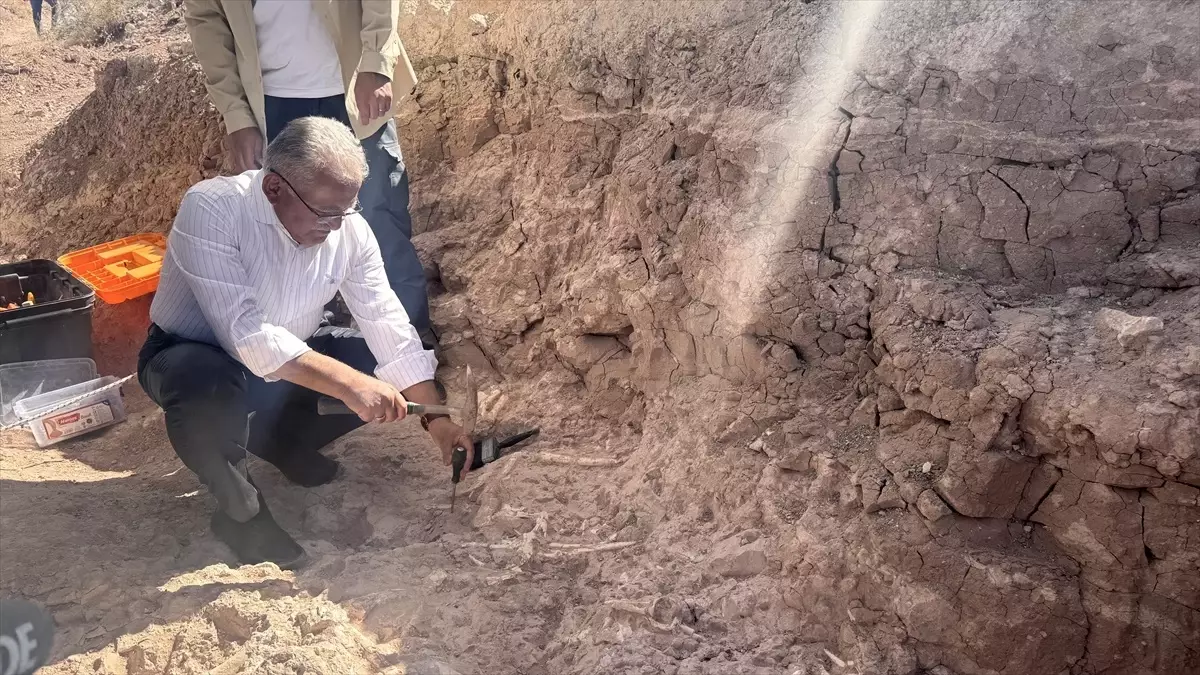 Kayseri'de 7,7 Milyon Yıl Öncesine Ait Fosil Bulundu