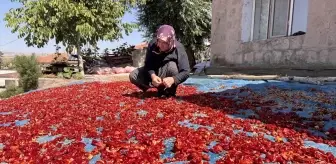 Kayseri'nin Cırgalan Biberi: Ata Tohumuyla Sofralara Lezzet Katıyor