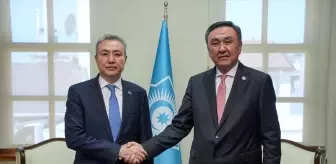 Kazakistan, TDT Daimi Temsilcisi Olarak Yerkebulan Sapiyev'i Atadı