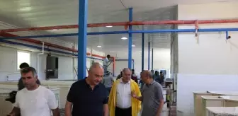 Elazığ'da 20 Milyon Sazan Balığı Üretimi Hedefleniyor