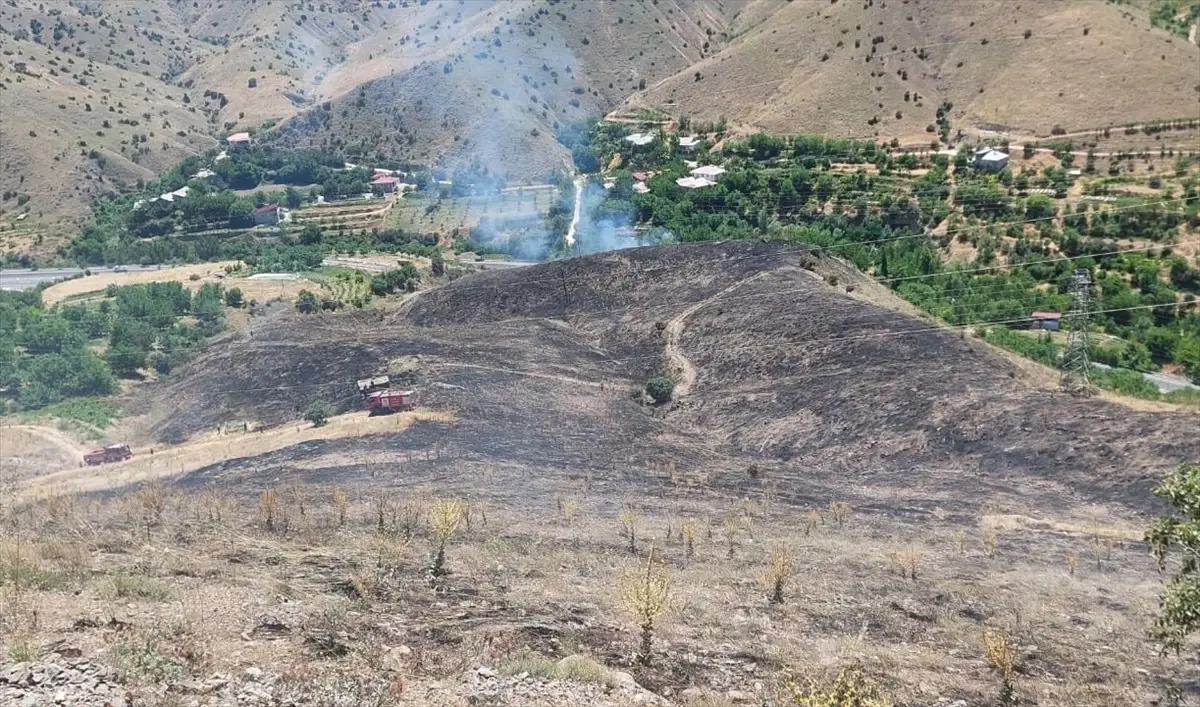 Elazığ'da Otluk Alanda Yangın Söndürüldü