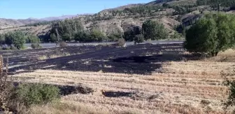 Elazığ Keban'da Otluk Alanda Yangın Söndürüldü