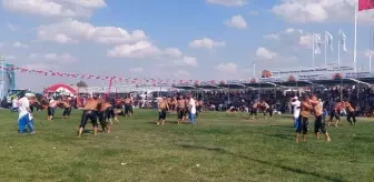 Edirne'de Kel Aliço Yağlı Güreşleri'nde Yıldıray Pala Başpehlivan Oldu