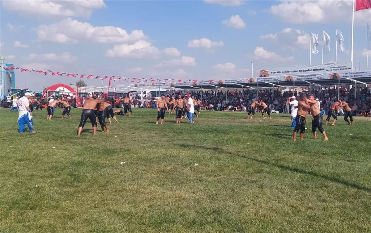 Edirne'de Kel Aliço Yağlı Güreşleri'nde Yıldıray Pala Başpehlivan Oldu