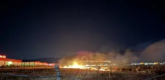 Kemalpaşa'da Boş Arazide Yangın Çıktı