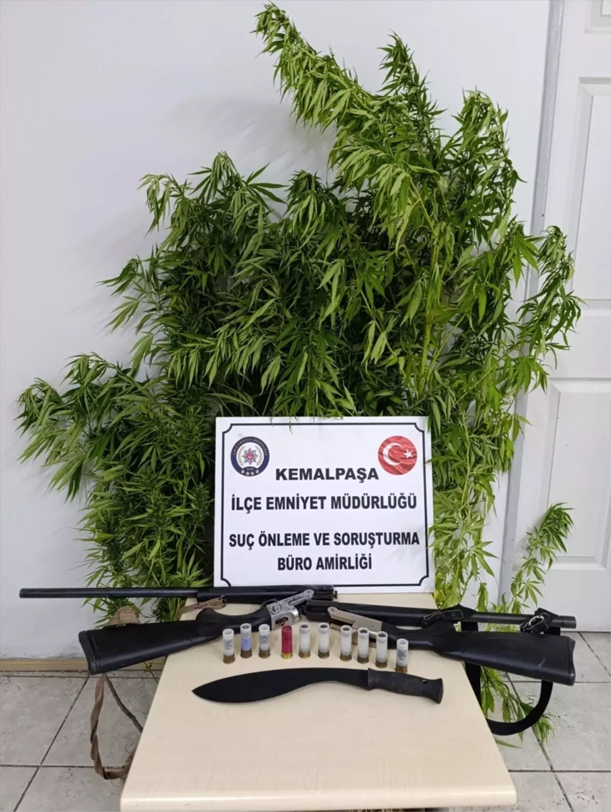 Kemalpaşa'da Bahçede Hint Keneviri Yetiştiren Şüpheli Gözaltında