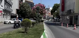 Kent Peyzajı İklim Değişikliğiyle Mücadelede Kritik Rol Oynuyor