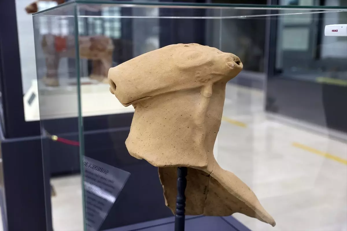 Sivas'ta Hitit Dönemine Ait Dev Boğa Testisi Bulundu