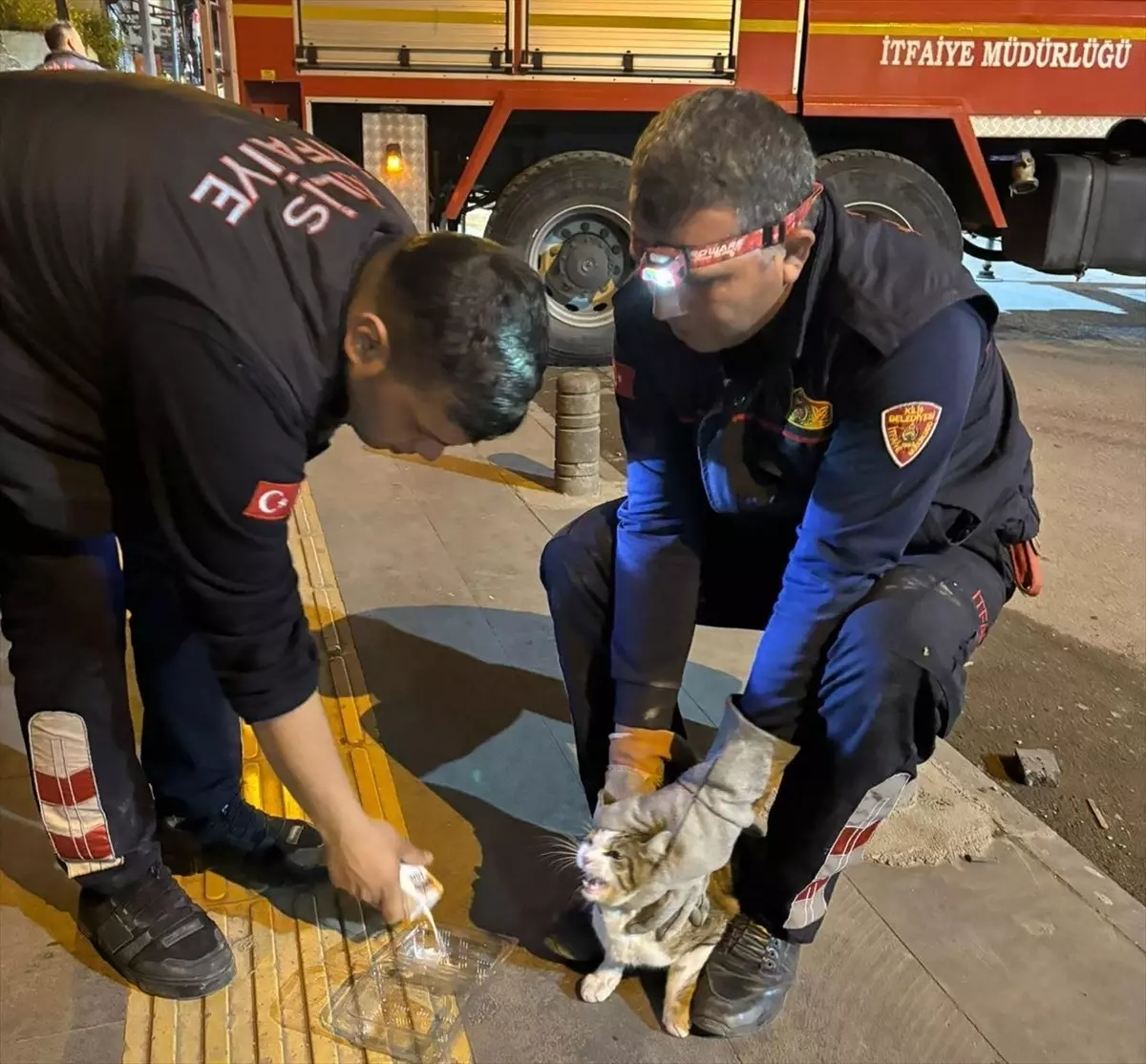 Kilis'te Ağaçta Mahsur Kalan Kedi Kurtarıldı