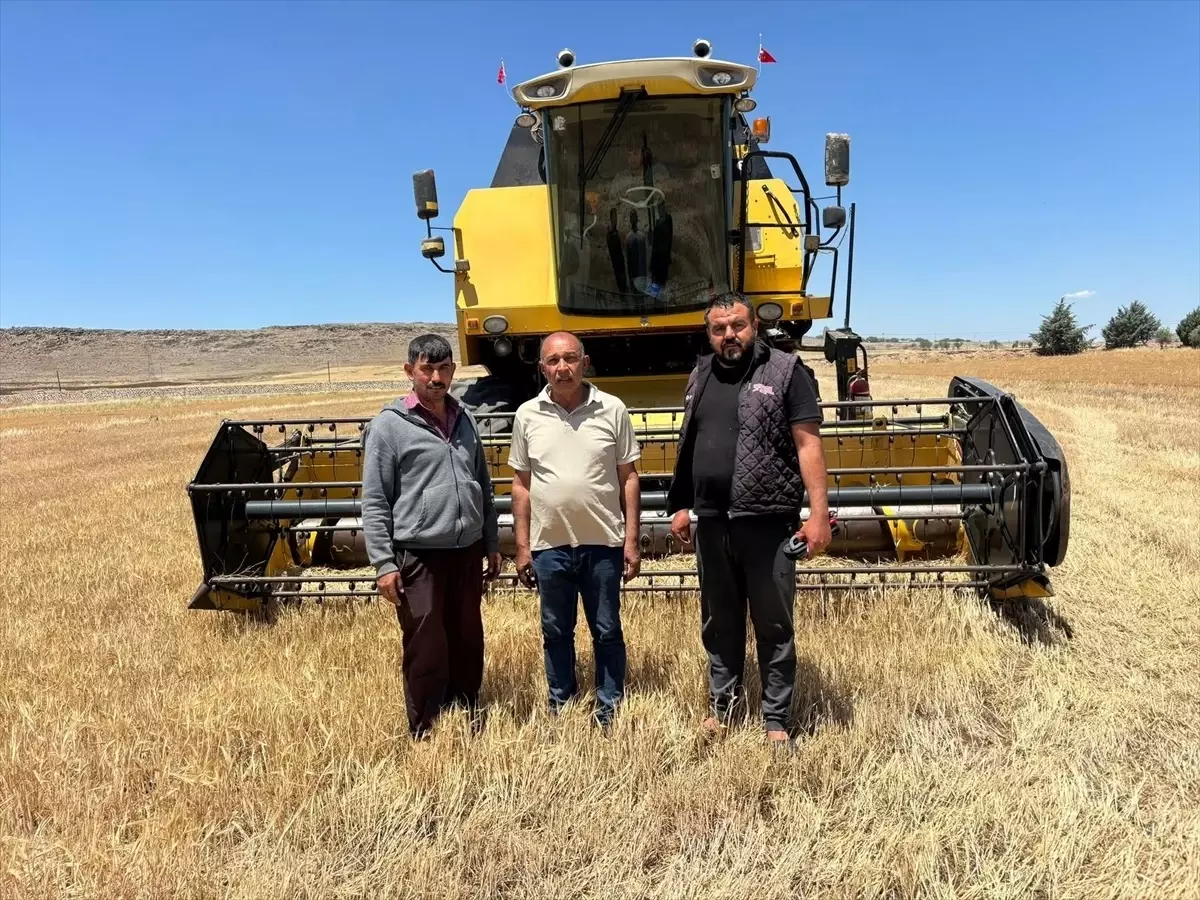 Kilis Ziraat Odası'ndan Anız Yakma Uyarısı