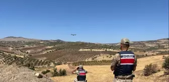 Kilis'te Kaybolan 12 Küçükbaş Hayvan Jandarma Tarafından Bulundu
