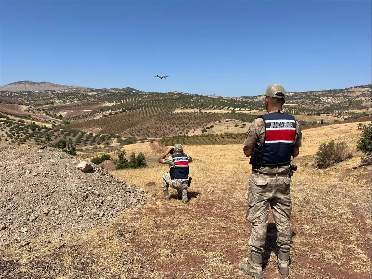 Kilis'te Kaybolan 12 Küçükbaş Hayvan Jandarma Tarafından Bulundu