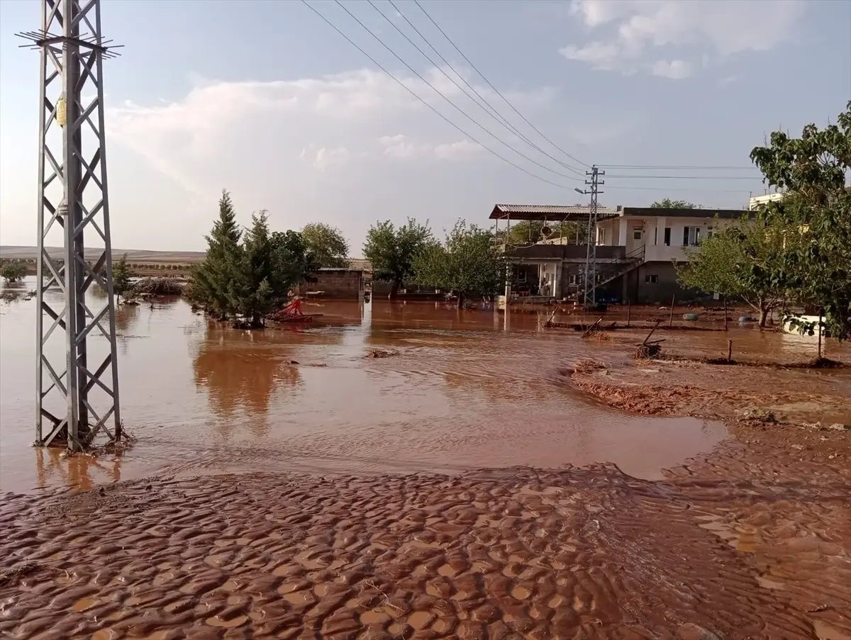 Kilis'te Sağanak Taşkını: Evler ve Araziler Zarar Gördü