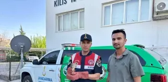 Kilis'te Yaralı Kerkenez Kuşu Koruma Altına Alındı