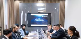 Kırgızistan ve Afganistan Arasında Vergi İşbirliği Görüşmesi