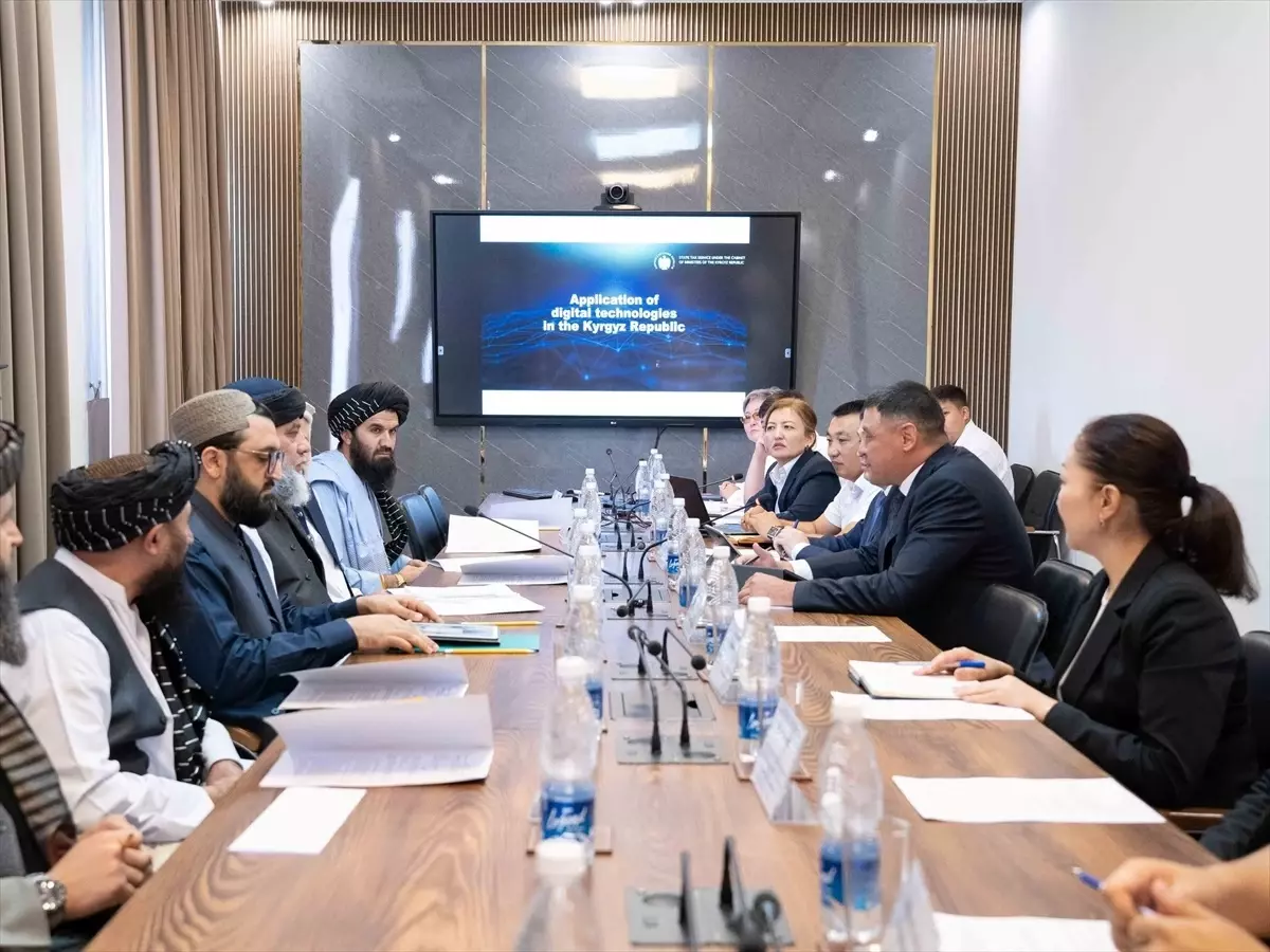 Kırgızistan ve Afganistan Arasında Vergi İşbirliği Görüşmesi