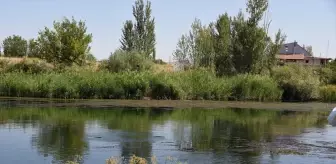 Kırıkkale'de Nehirde Boğulma Olayı: İki Genç Hayatını Kaybetti