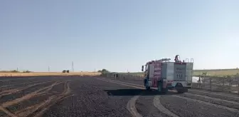 Kırklareli'nde Yangın: 12 Dekar Buğday ve 2 Dekar Ceviz Bahçesi Zarar Gördü