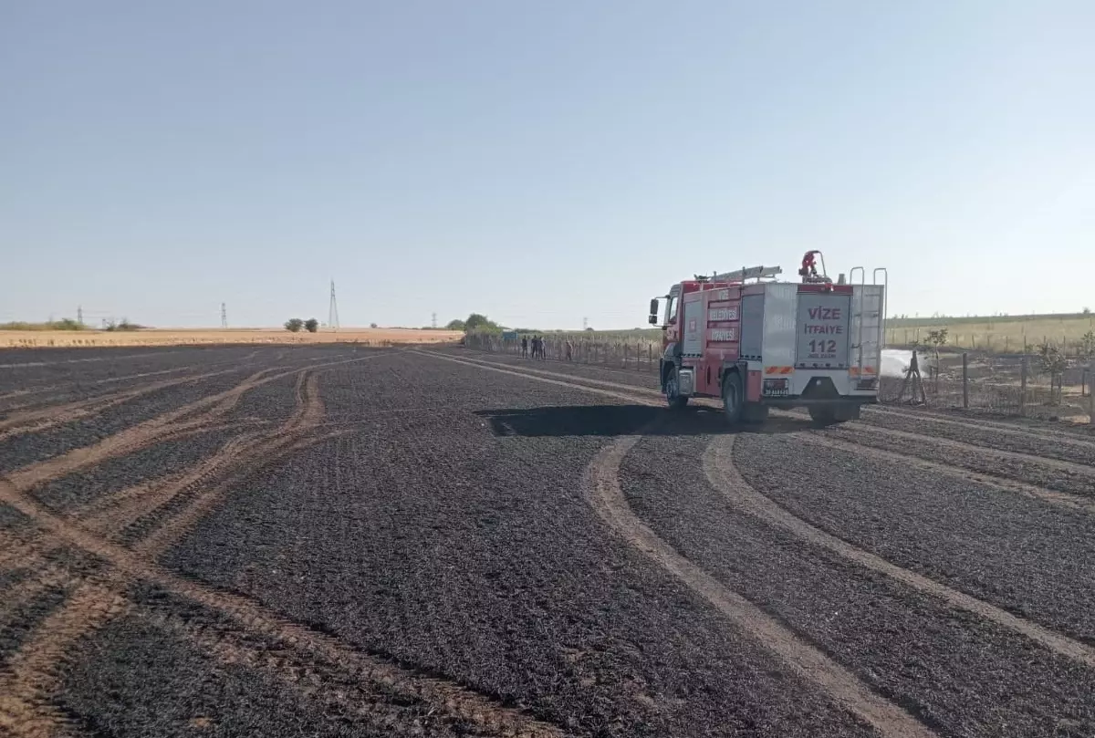 Kırklareli'nde Yangın: 12 Dekar Buğday ve 2 Dekar Ceviz Bahçesi Zarar Gördü
