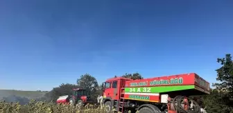 Lüleburgaz'da Anız Yangını Kontrol Altına Alındı
