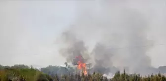 Kırklareli'nde Yangın Sebebiyle Avrupa Otoyolu Trafiğe Kapandı