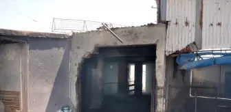 Lüleburgaz'da Ağaçlık Alanda Yangın Söndürüldü