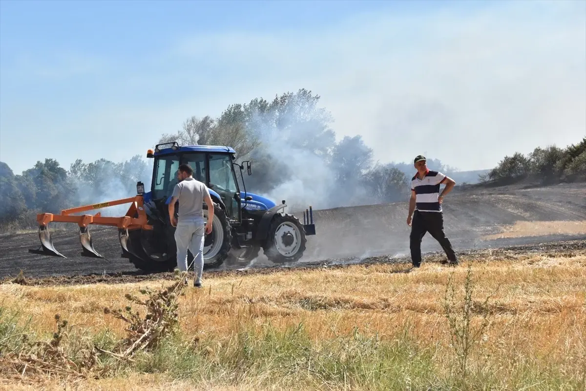 Kırklareli'nde Anız Yangını Ağaçlık Alana Sıçradı