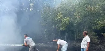 İğneada'da Orman Yangını Kısa Sürede Söndürüldü