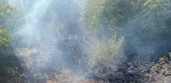 Kırklareli Demirköy'deki Orman Yangını Kısa Sürede Söndürüldü