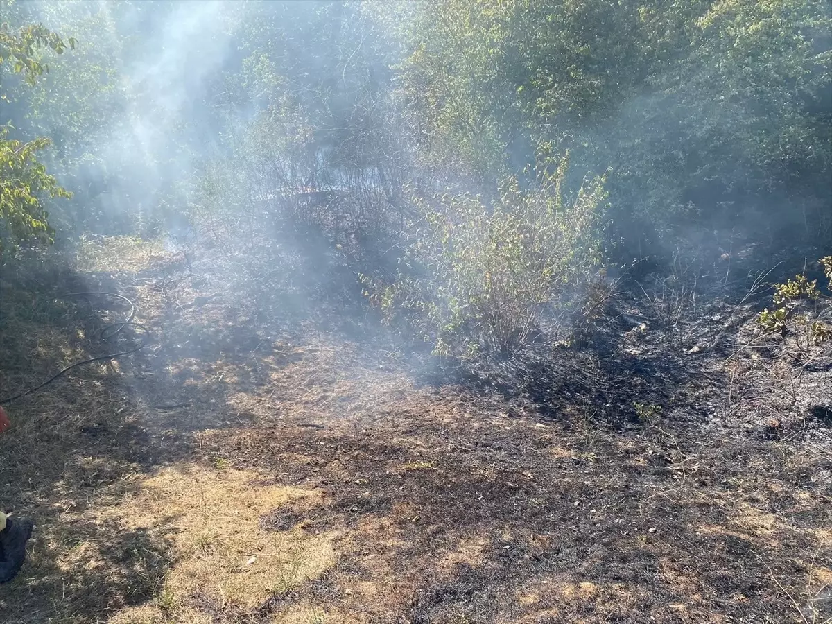 Kırklareli Demirköy'deki Orman Yangını Kısa Sürede Söndürüldü