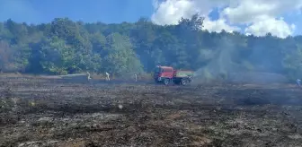 Kırklareli'nde örtü yangını söndürüldü