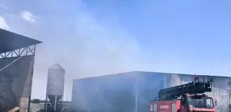 Kırklareli'nde hayvan çiftliğinde çıkan yangın söndürüldü