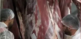 Kırklareli'nde Mezbahalar Hijyen ve Hayvan Refahı Açısından Denetlendi