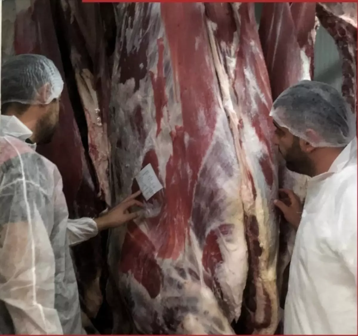 Kırklareli'nde Mezbahalar Hijyen ve Hayvan Refahı Açısından Denetlendi