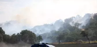Kırklareli'nde Orman Yangını: Ekipler Müdahaleye Başladı