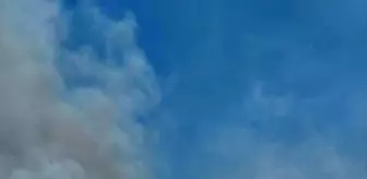 Kırklareli'nde Tarım Arazisinde Yangın