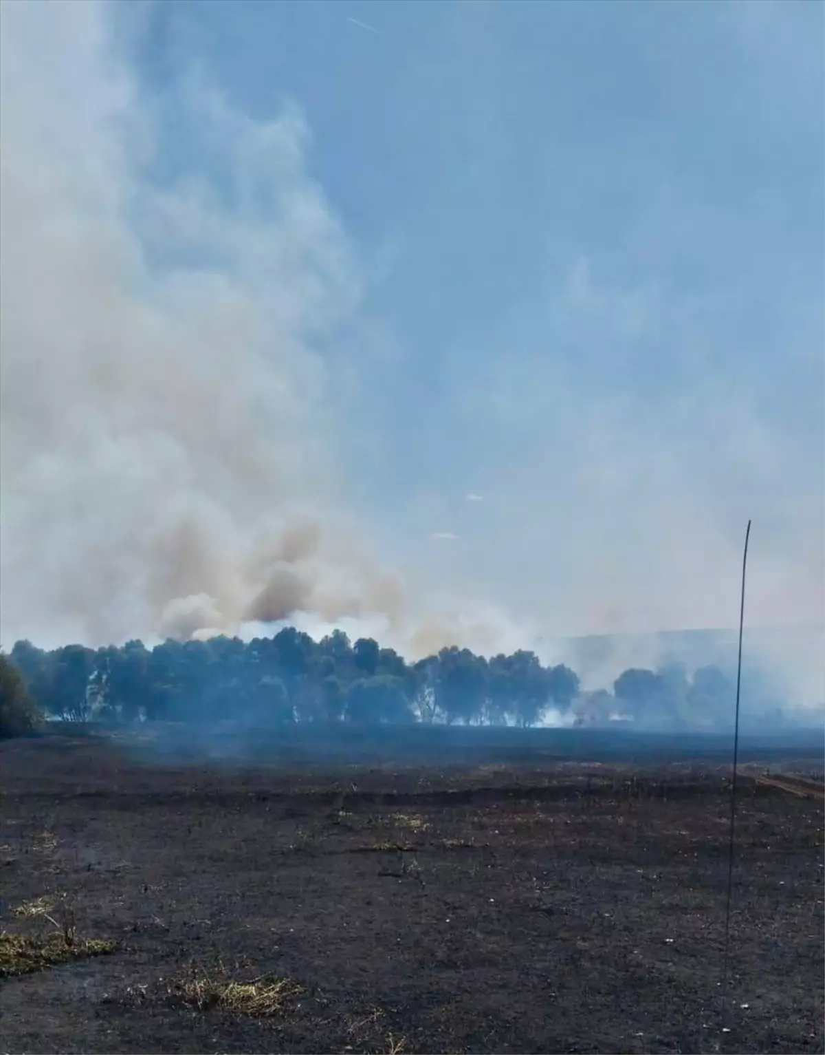 Kırklareli'nde Tarım Arazisinde Yangın