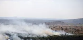 Kırklareli'nde Tarım Arazisinde Yangın Paniği