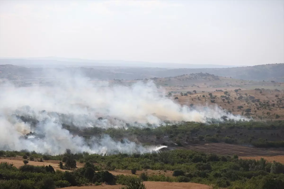 Kırklareli'nde Tarım Arazisinde Yangın Paniği