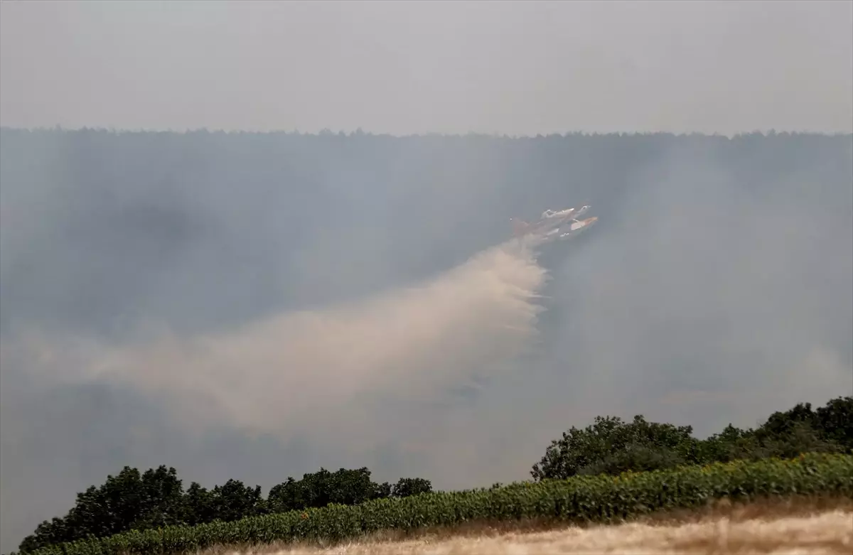 Kırklareli'nde Tarım Arazisinde Yangın Kontrol Altına Alındı