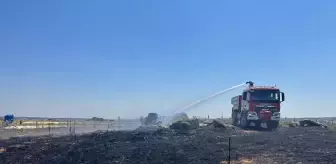 Kırklareli'nde Anız Yangını Ormana Sıçradı