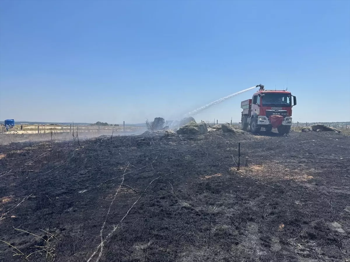 Kırklareli'nde Anız Yangını Ormana Sıçradı