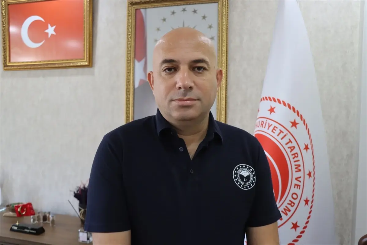Kırklareli'nde Zirai Don Nedeniyle Çiftçilere 22,5 Milyon Lira Destek Ödemesi