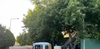 Kırklareli'nden kısa kısa